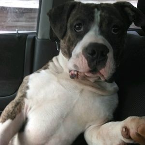 Meet your Posher, Mark